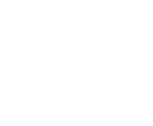 CL Web Developers; Your trusted digital partner